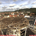 10_35-nest.jpg