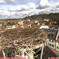10_40-nest.jpg