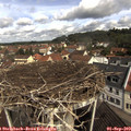 10_45-nest.jpg