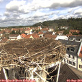 10_55-nest.jpg
