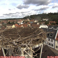 11_00-nest.jpg