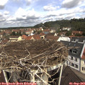 11_05-nest.jpg