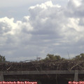 11_10-mast.jpg