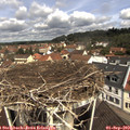 11_10-nest.jpg
