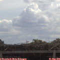 11_15-mast.jpg