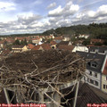 11_15-nest.jpg
