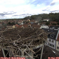 11_20-nest.jpg