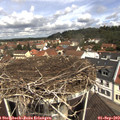 11_25-nest.jpg