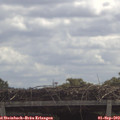 11_35-mast.jpg