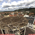11_35-nest.jpg