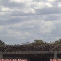 11_40-mast.jpg