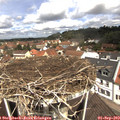 11_40-nest.jpg