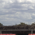 11_45-mast.jpg