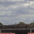 12_00-mast.jpg