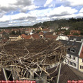 12_00-nest.jpg