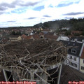 12_05-nest.jpg