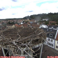 12_10-nest.jpg