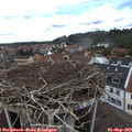 12_15-nest.jpg
