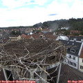 12_20-nest.jpg