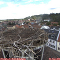 12_25-nest.jpg