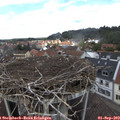 12_30-nest.jpg