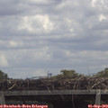 12_40-mast.jpg