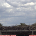 12_55-mast.jpg