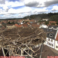 12_55-nest.jpg
