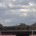 13_00-mast.jpg