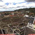 13_00-nest.jpg
