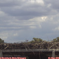 13_05-mast.jpg