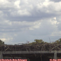 13_10-mast.jpg