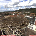 13_10-nest.jpg