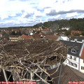 13_15-nest.jpg