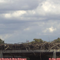 13_20-mast.jpg