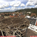13_20-nest.jpg