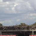 13_25-mast.jpg