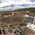 13_25-nest.jpg