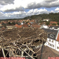 13_30-nest.jpg