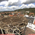 13_35-nest.jpg