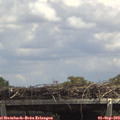 13_40-mast.jpg