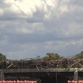 13_45-mast.jpg