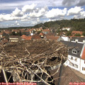 13_45-nest.jpg