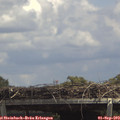13_50-mast.jpg
