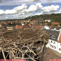 13_50-nest.jpg