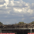 13_55-mast.jpg