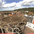 14_00-nest.jpg