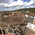 14_05-nest.jpg