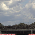 14_10-mast.jpg