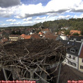 14_10-nest.jpg
